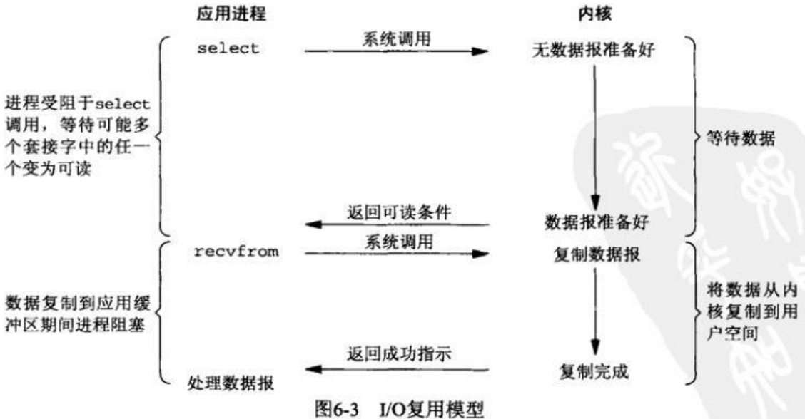 输入图片说明